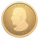 2025 1 oz Canadian Gold Maple Leaf Coin | 2025 Canada 1 oz Our Purest Maple Leaf Gold Coin | 2025 Canada 1 oz