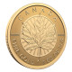 2025 1 oz Canadian Gold Maple Leaf Coin | 2025 Canada 1 oz Our Purest Maple Leaf Gold Coin | 2025 Canada 1 oz