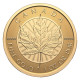 2025 1 oz Canadian Gold Maple Leaf Coin | 2025 Canada 1 oz Our Purest Maple Leaf Gold Coin | 2025 Canada 1 oz